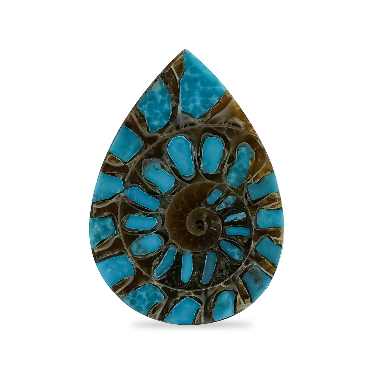 Starborn Ammonite with Turquoise Inlay Pear Cabochon 18 x 25 mm - 1 Piece