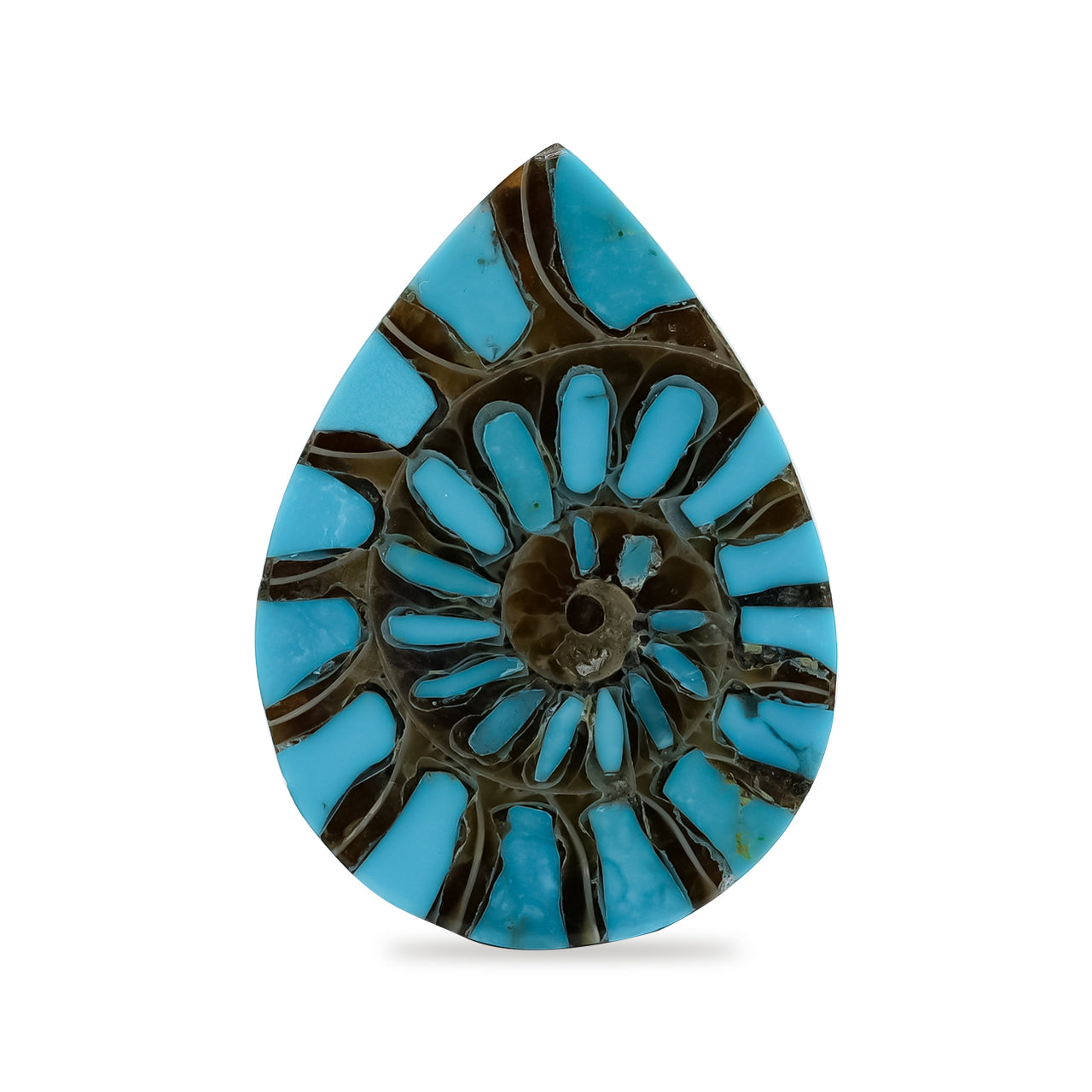 Starborn Ammonite with Turquoise Inlay Pear Cabochon 18 x 25 mm - 1 Piece