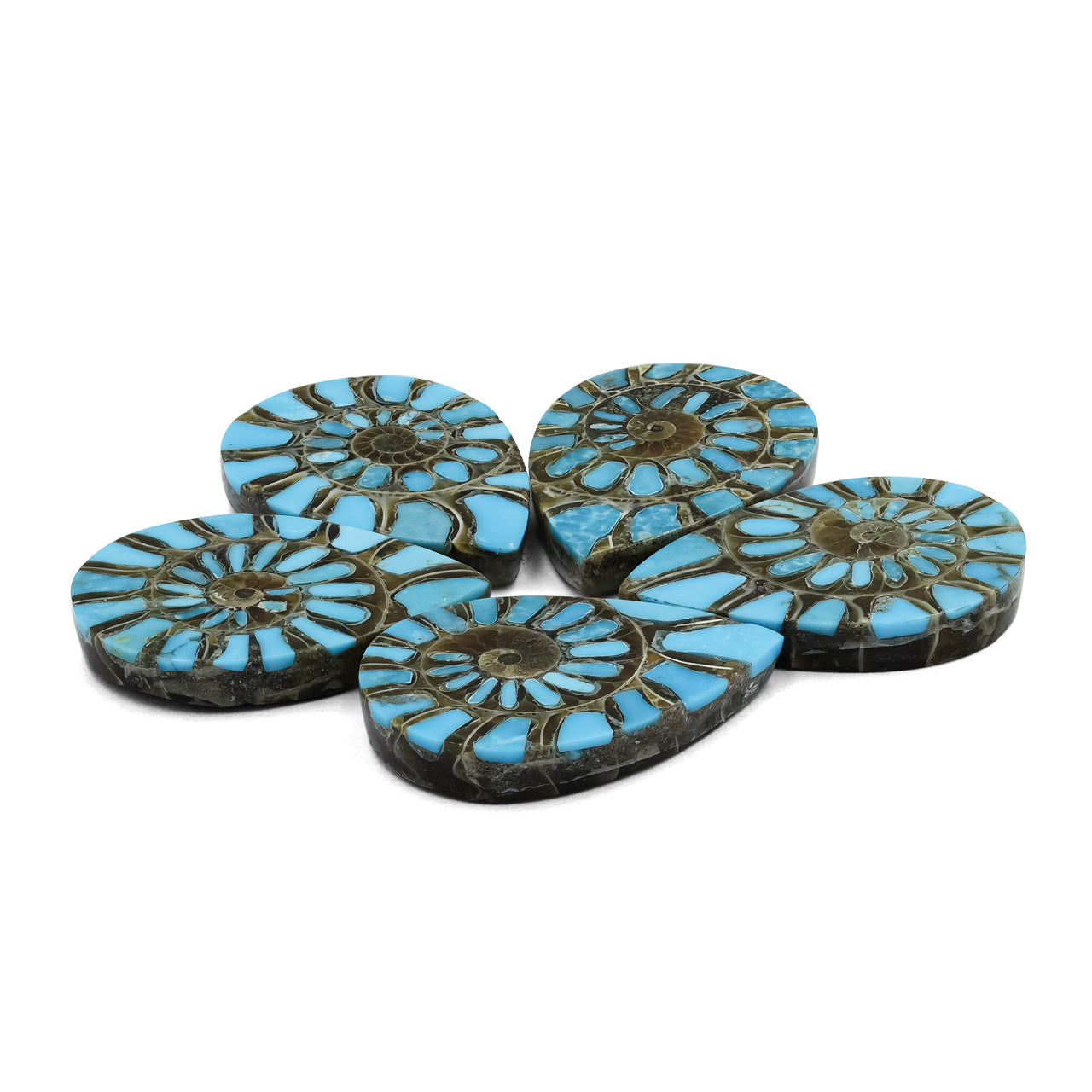 Starborn Ammonite with Turquoise Inlay Pear Cabochon 18 x 25 mm - 1 Piece