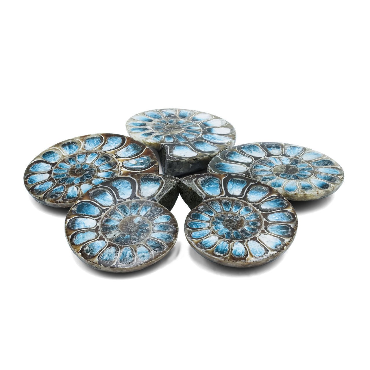 Starborn Ammonite Half with Blue Ice Glacierite Inlay Cabochon 41 - 45 mm, 1 Piece