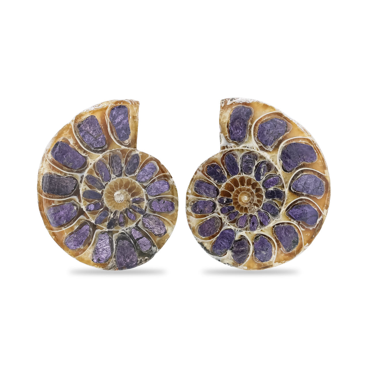 Starborn Ammonite Half with Purpurite Inlay Cabochon 21 - 25 mm, 1 Pair