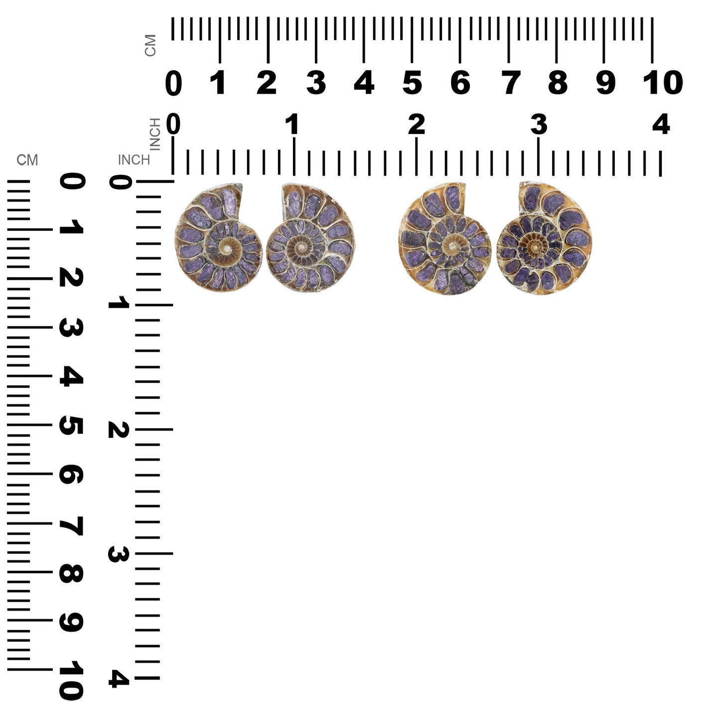 Starborn Ammonite Half with Purpurite Inlay Cabochon 21 - 25 mm, 1 Pair