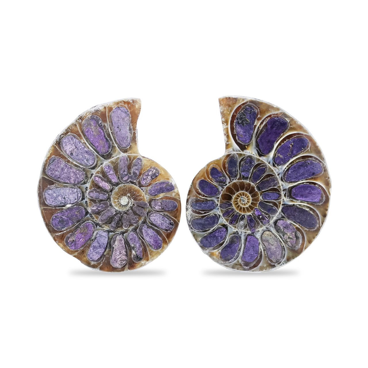 Starborn Ammonite Half with Purpurite Inlay Cabochon 25 - 28 mm, 1 Pair