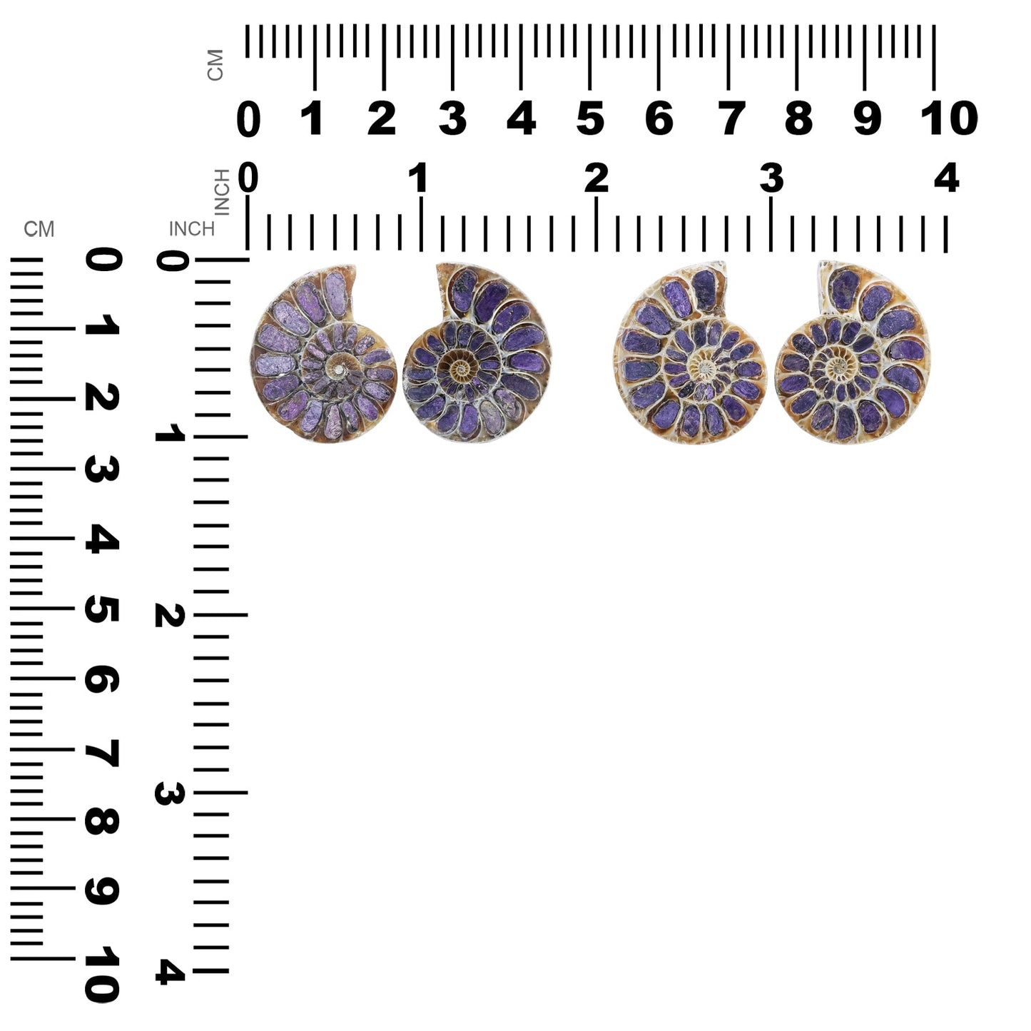 Starborn Ammonite Half with Purpurite Inlay Cabochon 25 - 28 mm, 1 Pair