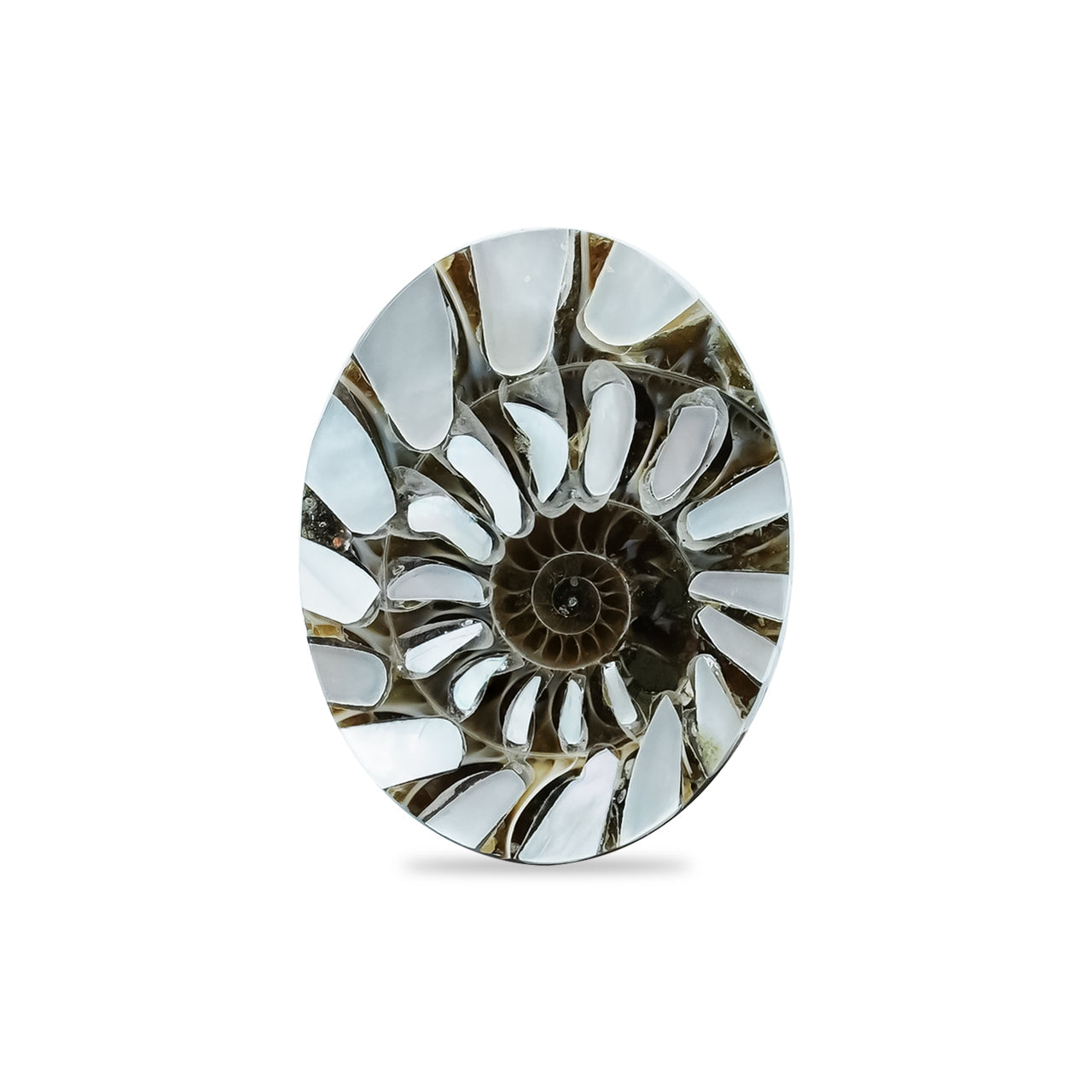 Starborn Ammonite with Mother of Pearl Inlay Oval Cabochon 15 x 20 mm, 1 Piece