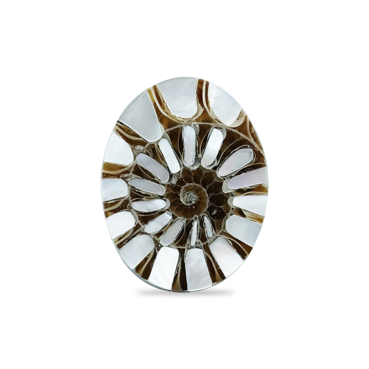 Starborn Ammonite with Mother of Pearl Inlay Oval Cabochon 15 x 20 mm, 1 Piece