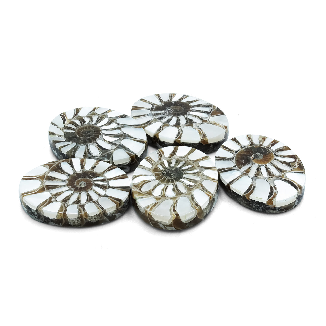 Starborn Ammonite with Mother of Pearl Inlay Oval Cabochon 15 x 20 mm, 1 Piece