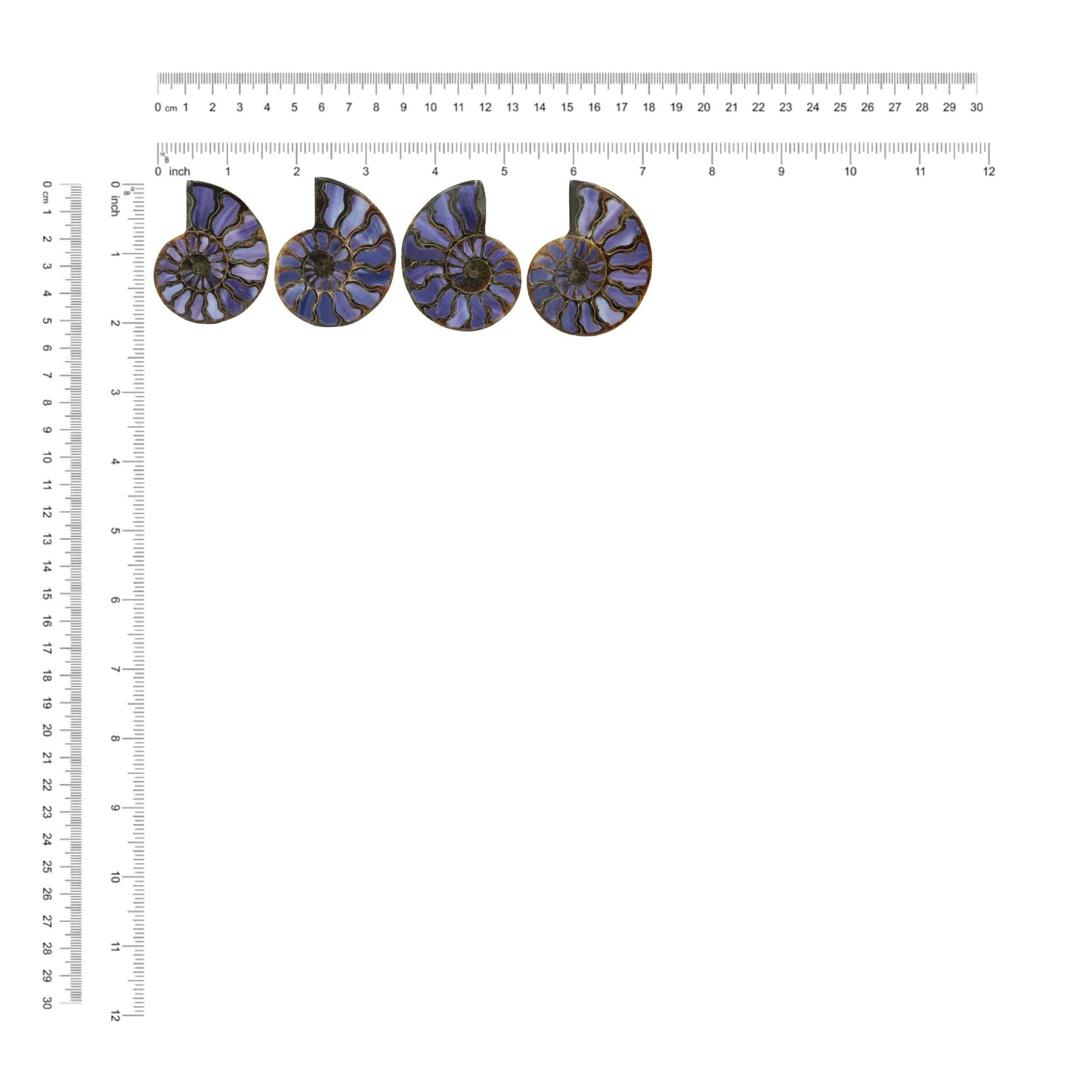Starborn Half Ammonite with Purple Shell Inlay Cabochon 58 - 62 mm, 1 Piece