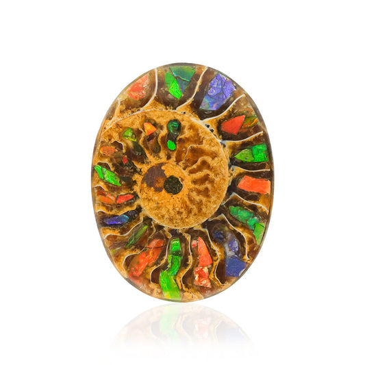 Starborn Ammonite with Ammolite Inlay Oval Cabochon 29 x 22 mm, 1 Piece