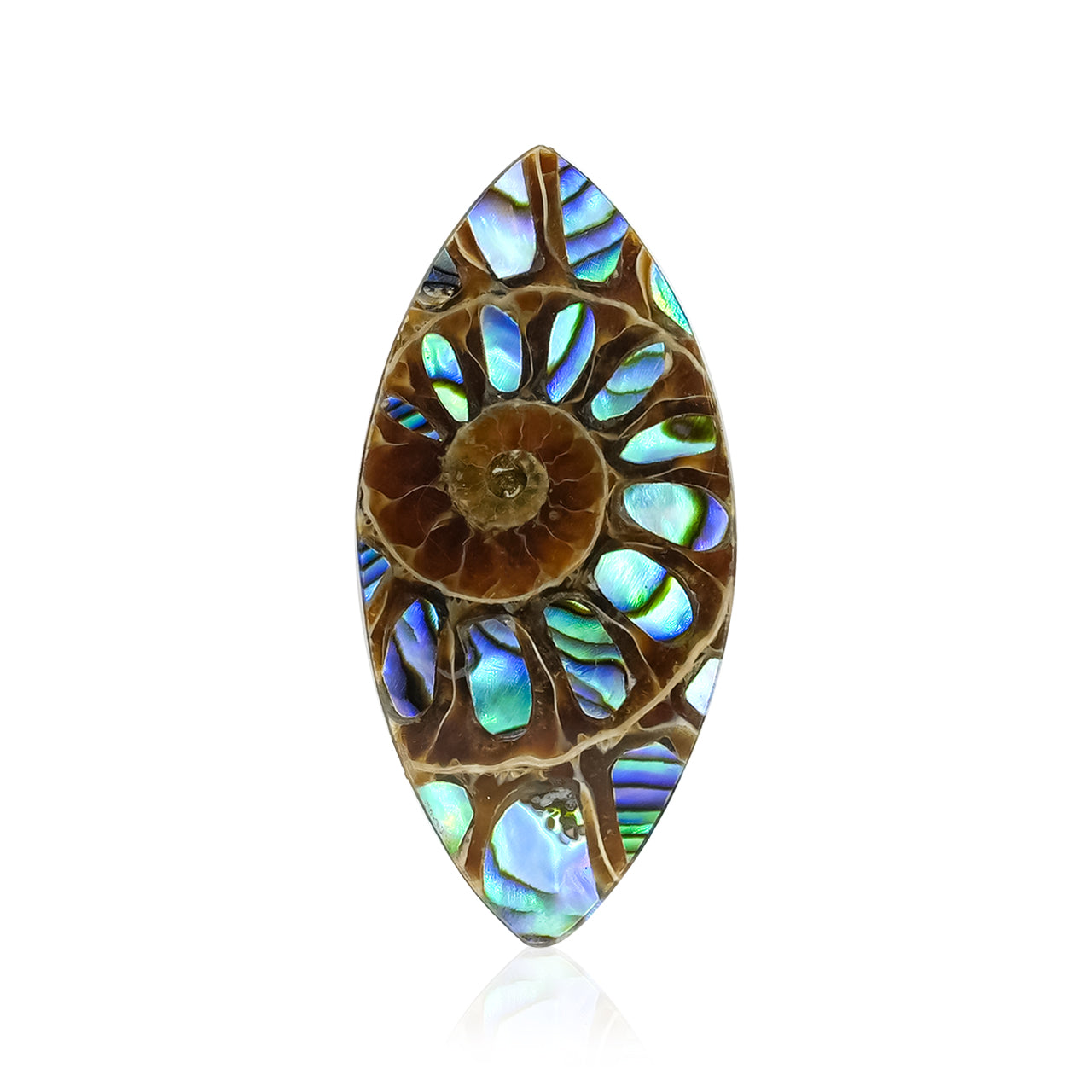 Starborn Ammonite with Abalone Shell Inlay 31 x 15 mm Marquise Cabochon - 1 Piece