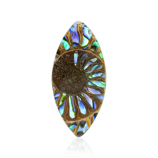 Starborn Ammonite with Abalone Shell Inlay 31 x 15 mm Marquise Cabochon - 1 Piece