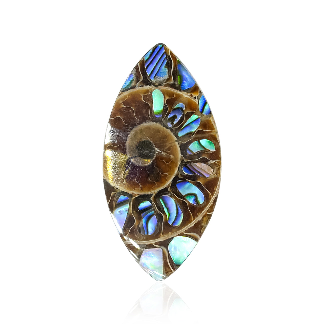Starborn Ammonite with Abalone Shell Inlay 31 x 15 mm Marquise Cabochon - 1 Piece