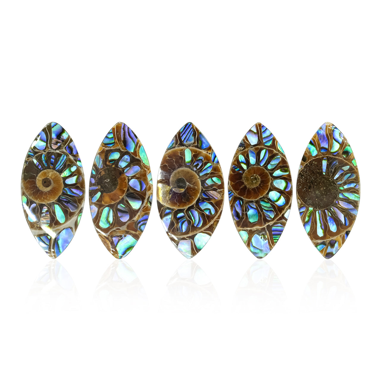 Starborn Ammonite with Abalone Shell Inlay 31 x 15 mm Marquise Cabochon - 1 Piece