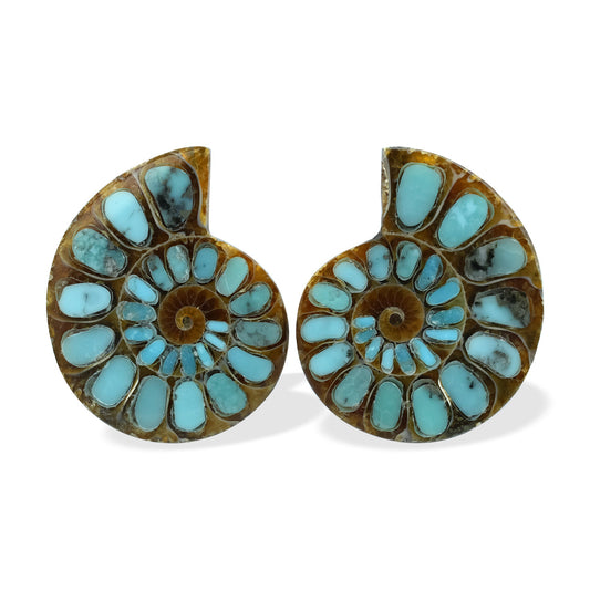 Starborn Ammonite with Turquoise Inlay Cabochons 25 - 28 mm, 1 Pair