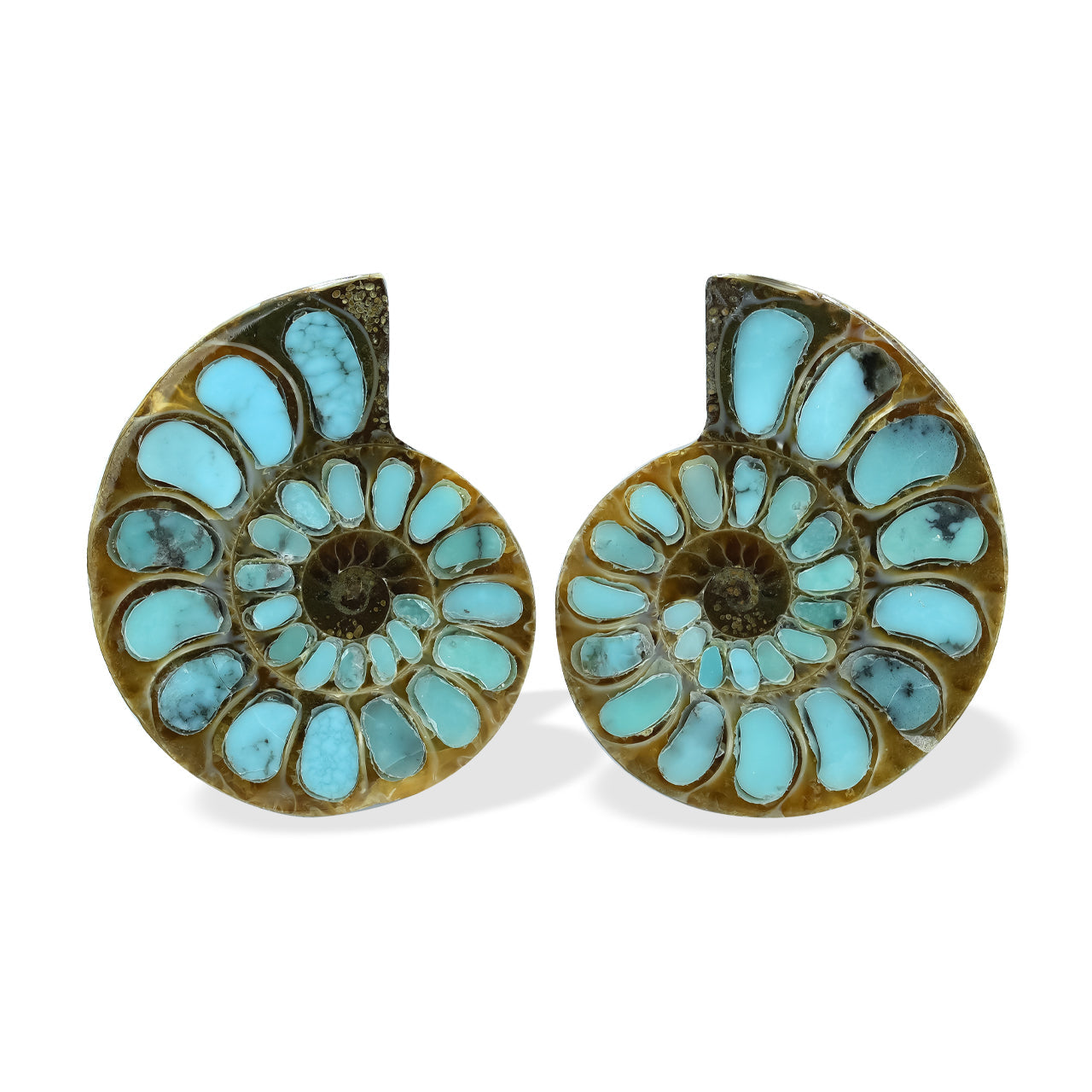 Starborn Ammonite with Turquoise Inlay Cabochons 25 - 28 mm, 1 Pair