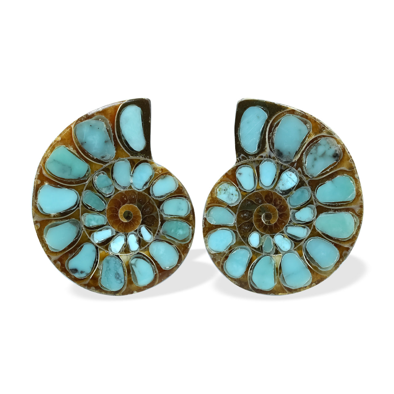 Starborn Ammonite with Turquoise Inlay Cabochons 25 - 28 mm, 1 Pair