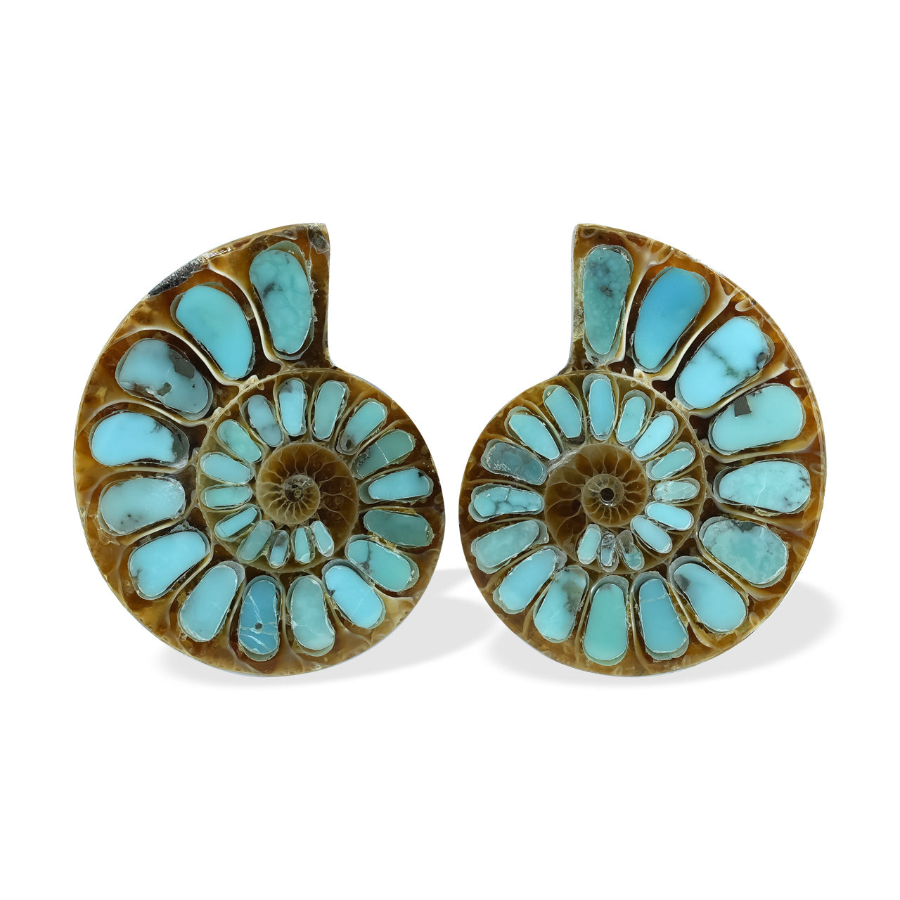 Starborn Ammonite with Turquoise Inlay Cabochons 25 - 28 mm, 1 Pair