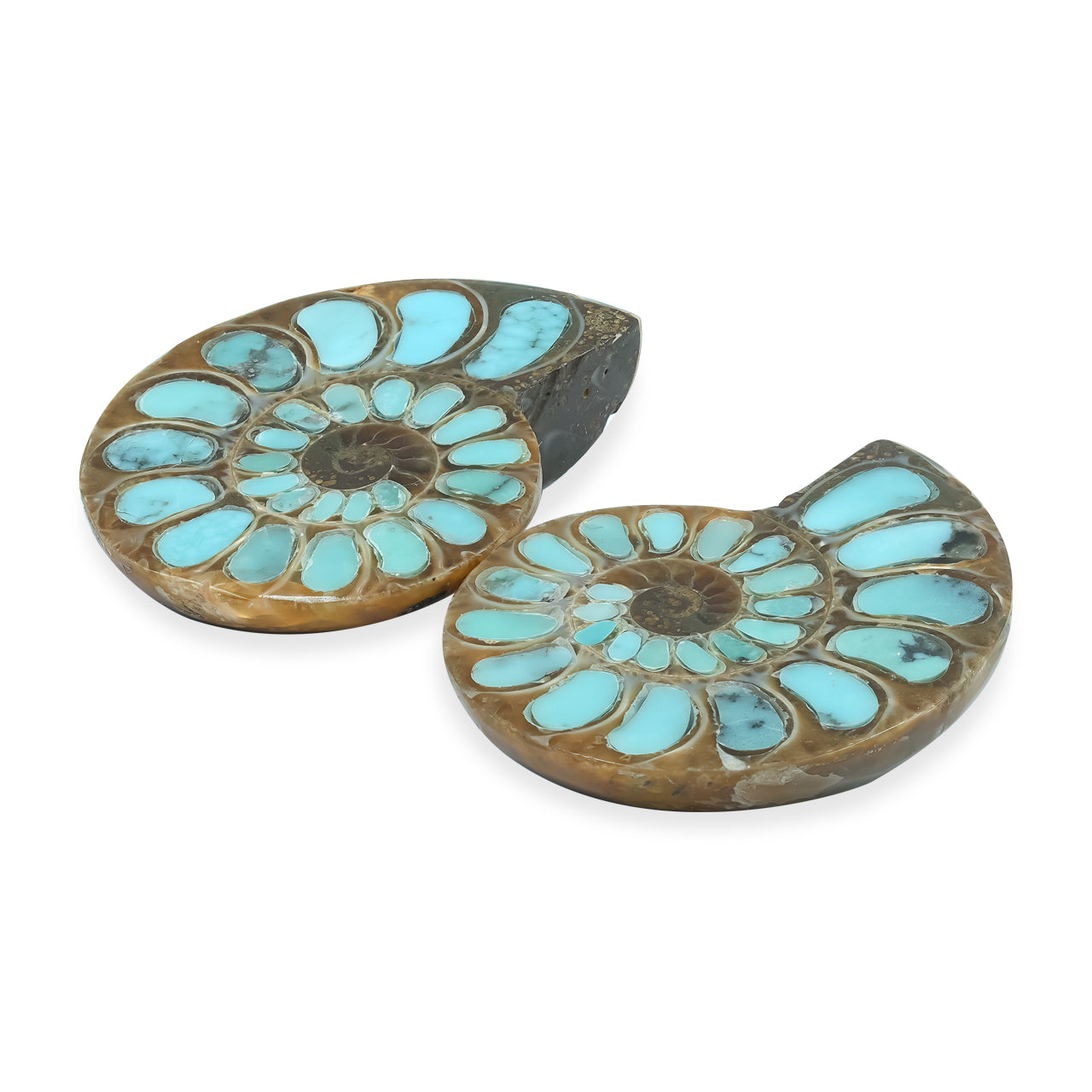 Starborn Ammonite with Turquoise Inlay Cabochons 25 - 28 mm, 1 Pair