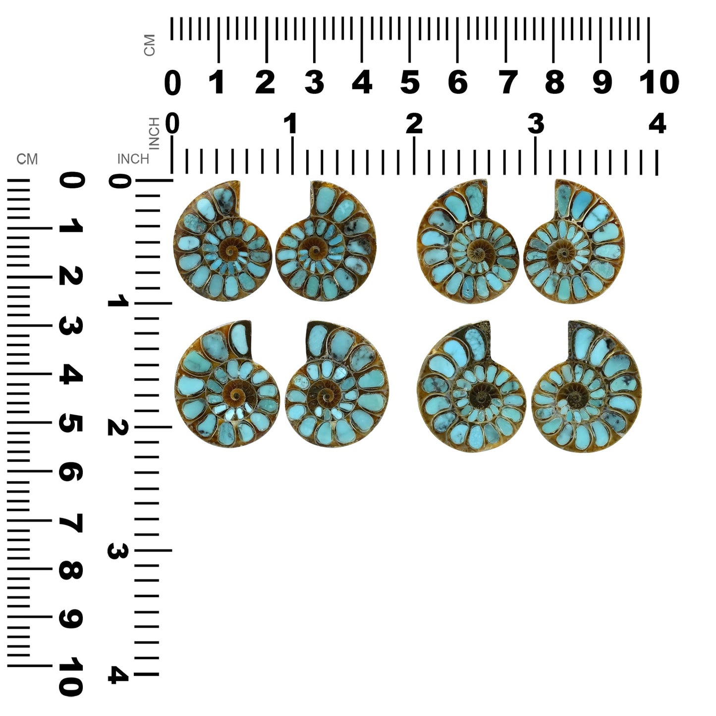 Starborn Ammonite with Turquoise Inlay Cabochons 25 - 28 mm, 1 Pair