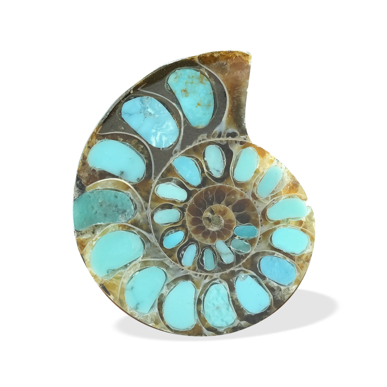 Starborn Ammonite with Turquoise Inlay Cabochon 29 - 30 mm, 1 Piece