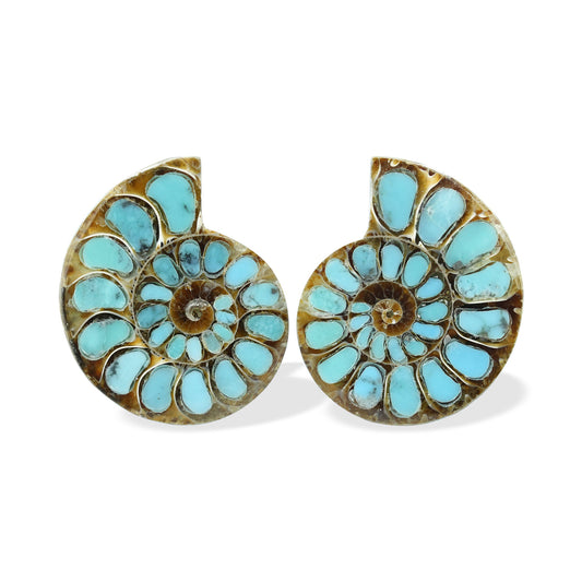 Starborn Ammonite with Turquoise Inlay Cabochons 28 - 30 mm, 1 Pair