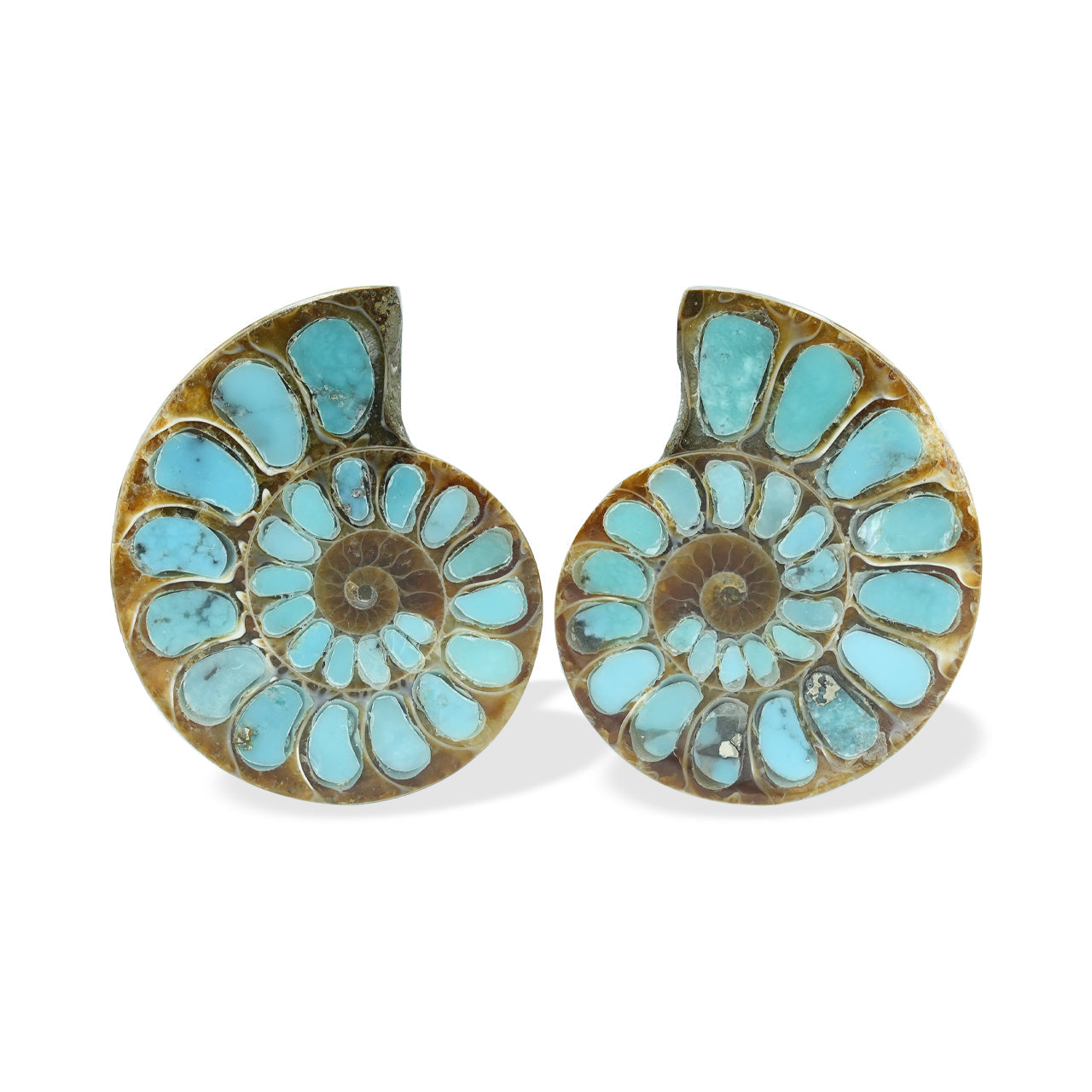 Starborn Ammonite with Turquoise Inlay Cabochons 28 - 30 mm, 1 Pair
