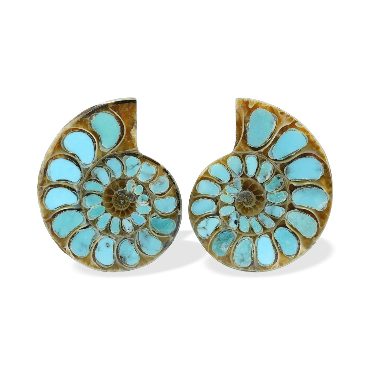 Starborn Ammonite with Turquoise Inlay Cabochons 28 - 30 mm, 1 Pair