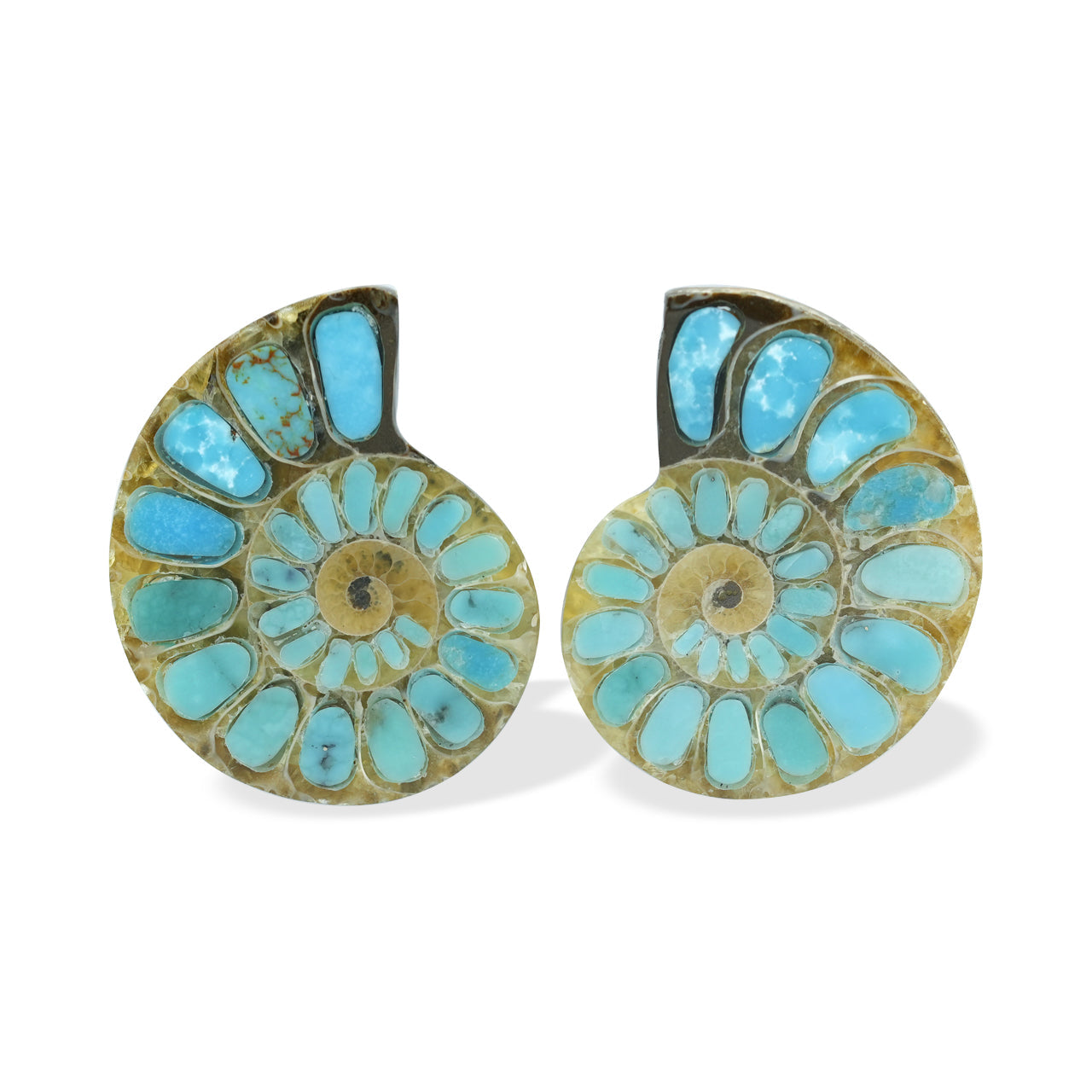 Starborn Ammonite with Turquoise Inlay Cabochons 28 - 30 mm, 1 Pair