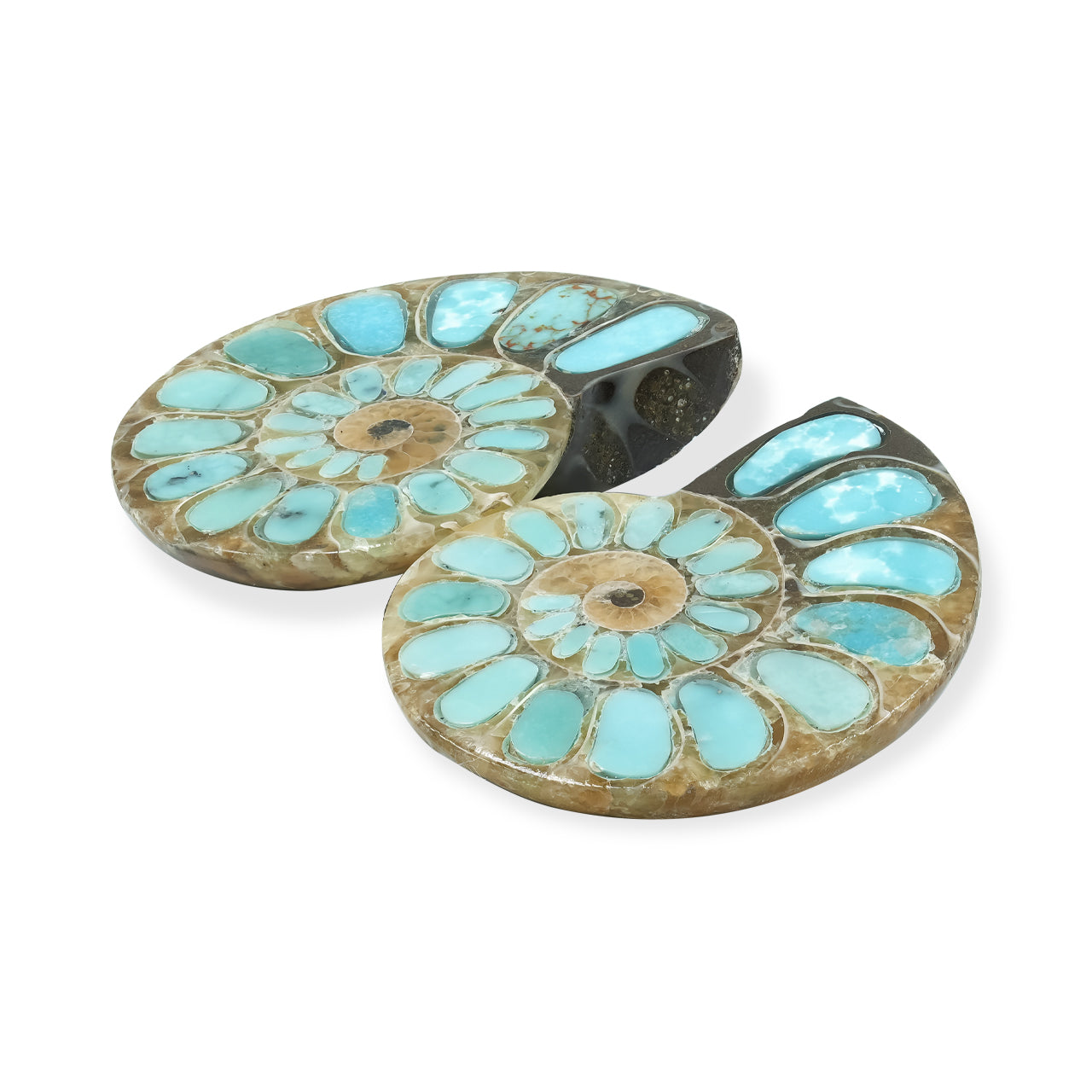 Starborn Ammonite with Turquoise Inlay Cabochons 28 - 30 mm, 1 Pair