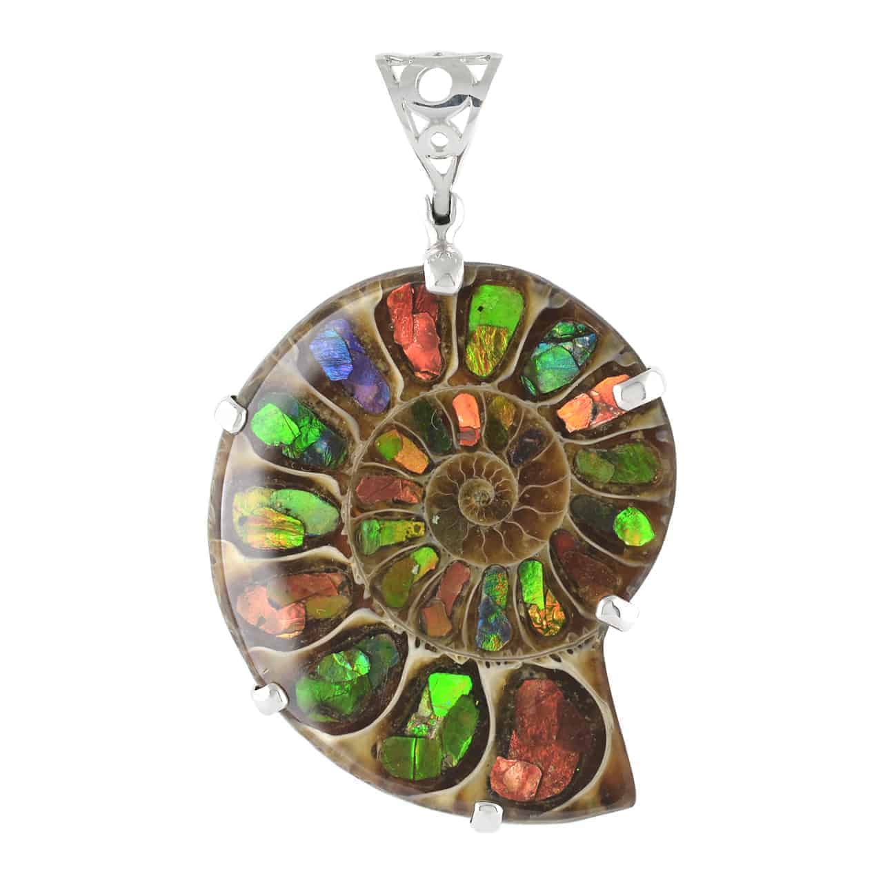 Starborn Ammonite with Ammolite Pendant and Filigree Bail in Sterling Silver