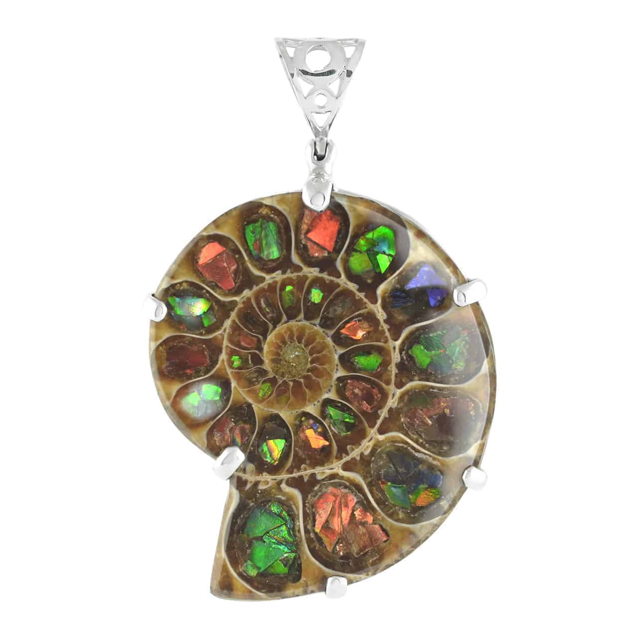 Starborn Ammonite with Ammolite Pendant and Filigree Bail in Sterling Silver