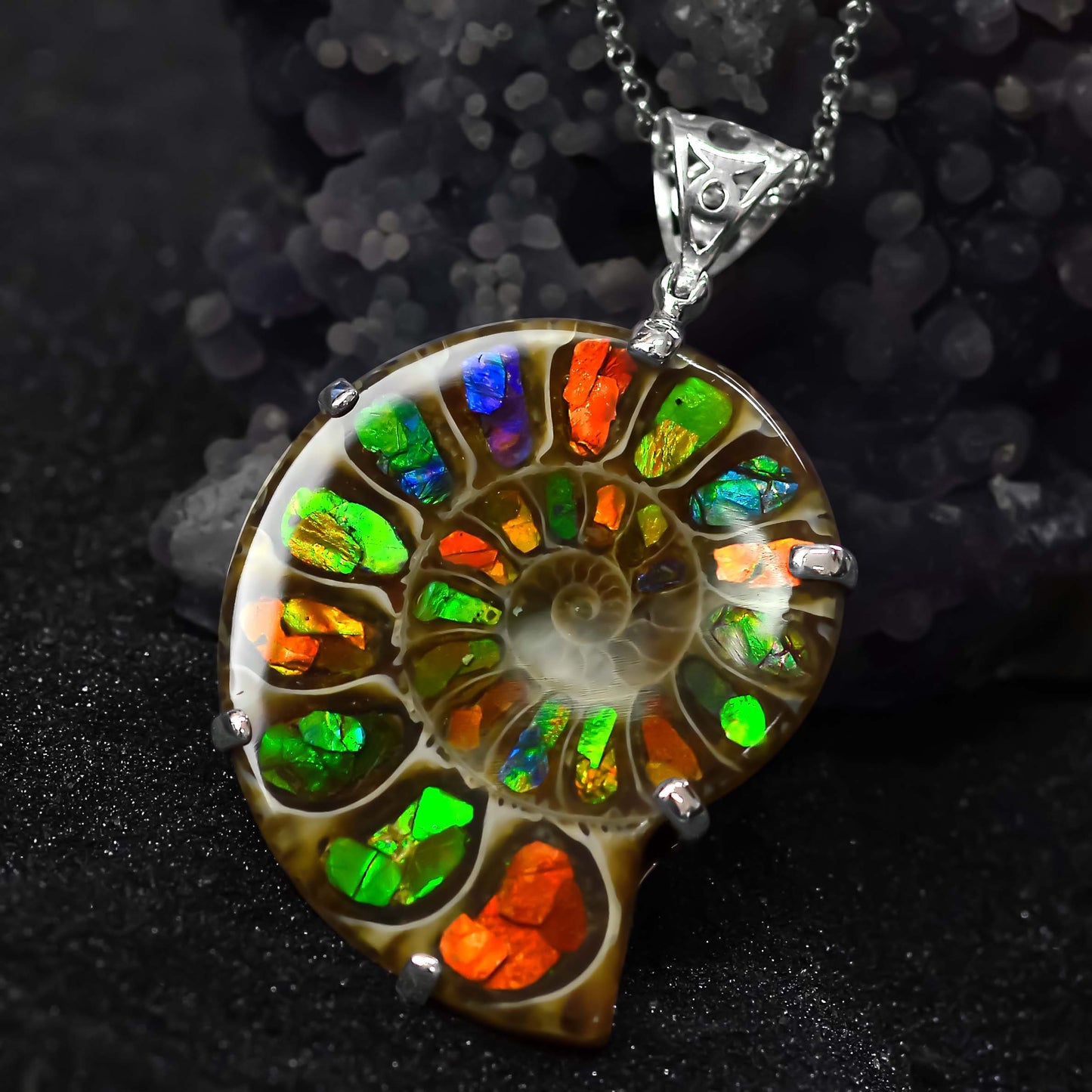 Starborn Ammonite with Ammolite Pendant and Filigree Bail in Sterling Silver