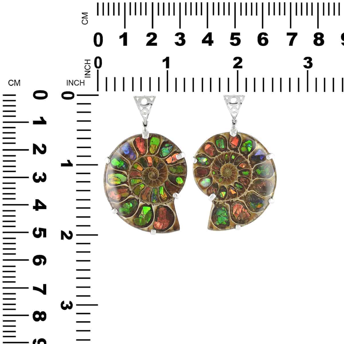 Starborn Ammonite with Ammolite Pendant and Filigree Bail in Sterling Silver