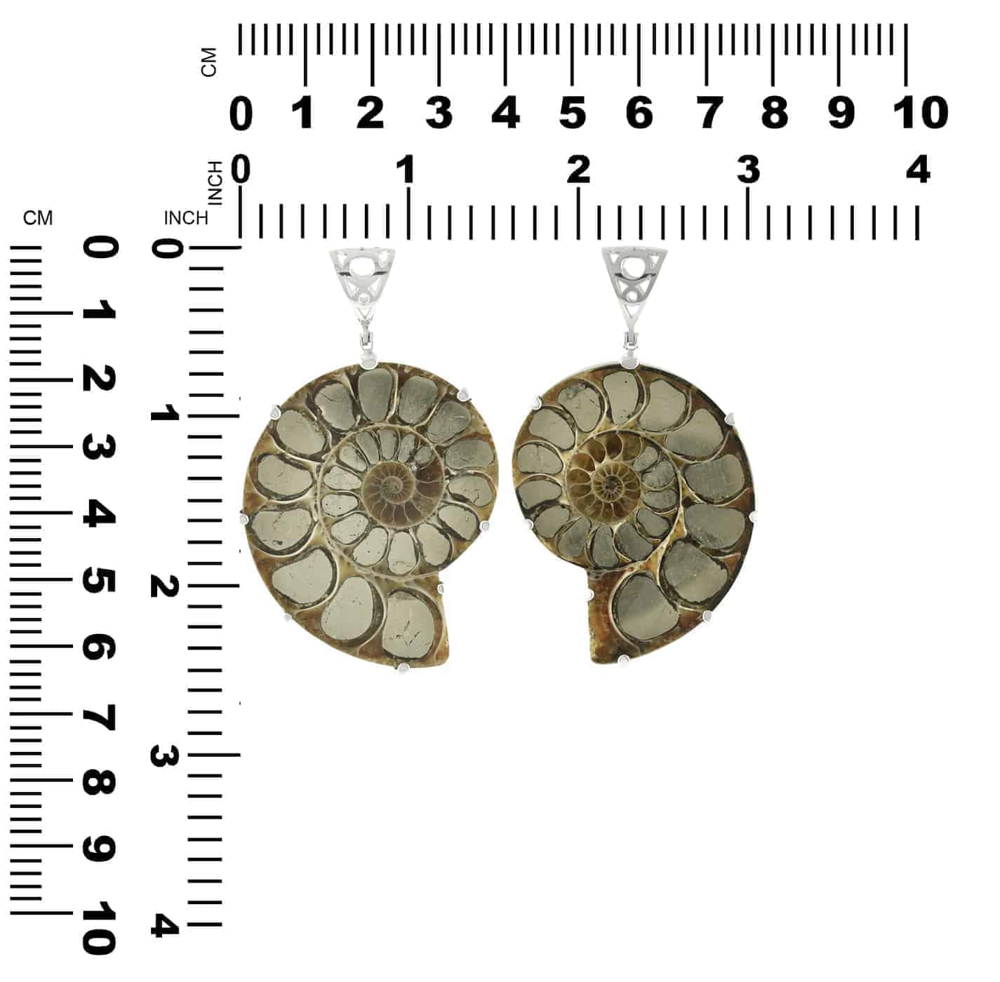 Starborn Pyrite Inlaid Ammonite Pendant with Sterling Silver Filigree Detail - Large