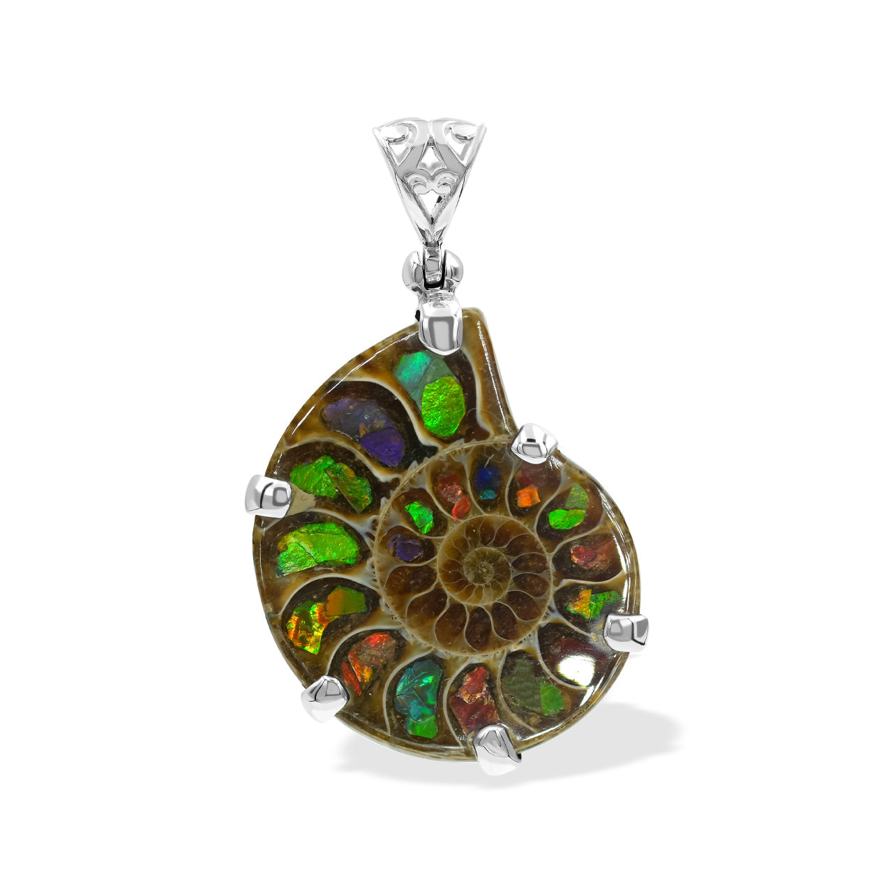 Starborn Ammonite with Ammolite Inlay in Sterling Silver