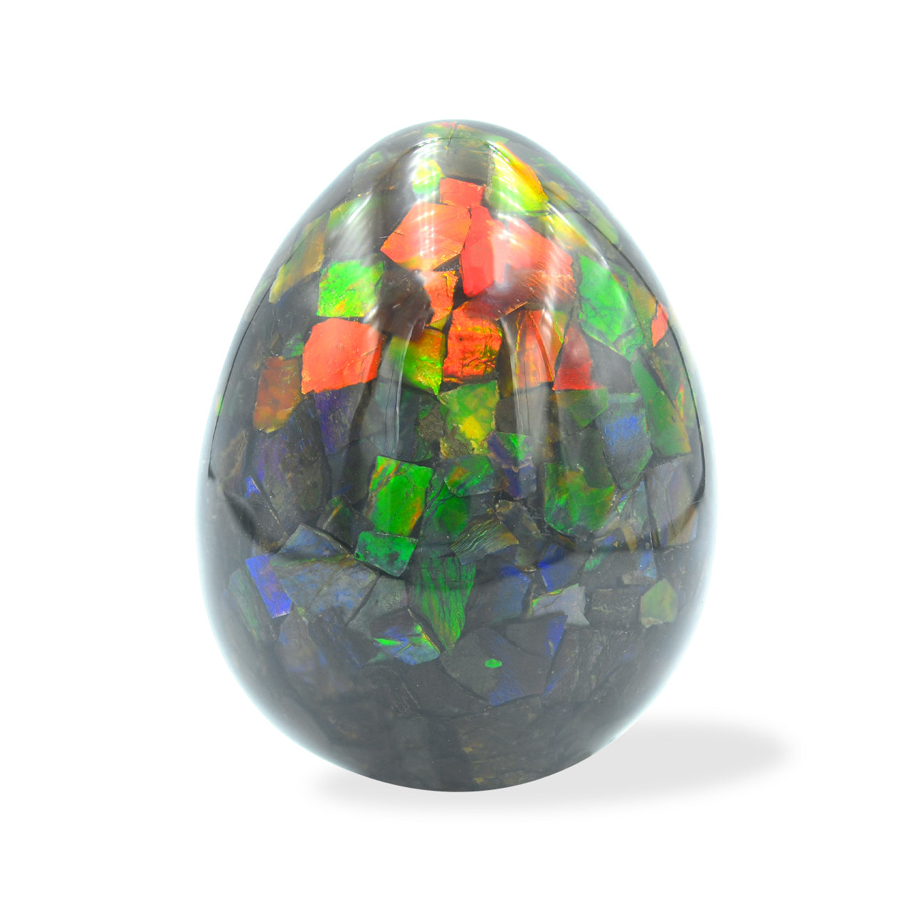 Starborn Ammolite Egg Display Stone - Small