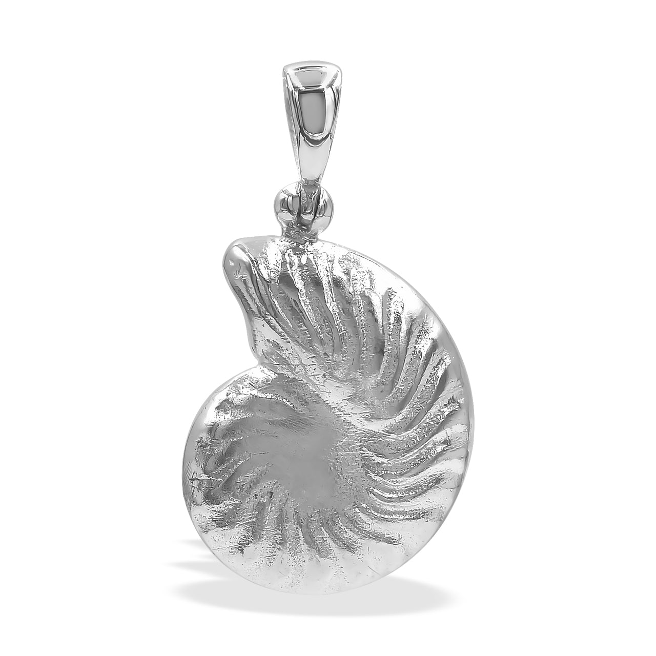 Starborn Ammolite Inlay Nautilus Ammonite Pendant in Sterling Silver