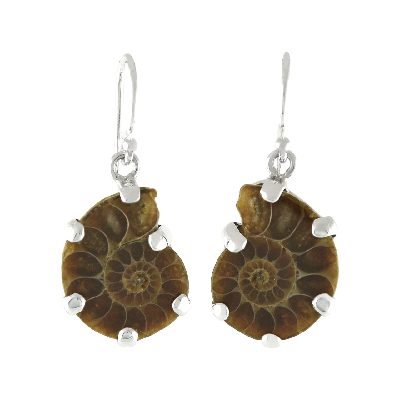Starborn Fossilized Ammonite Prong Set Earrings with Filigree Back in Sterling Silver