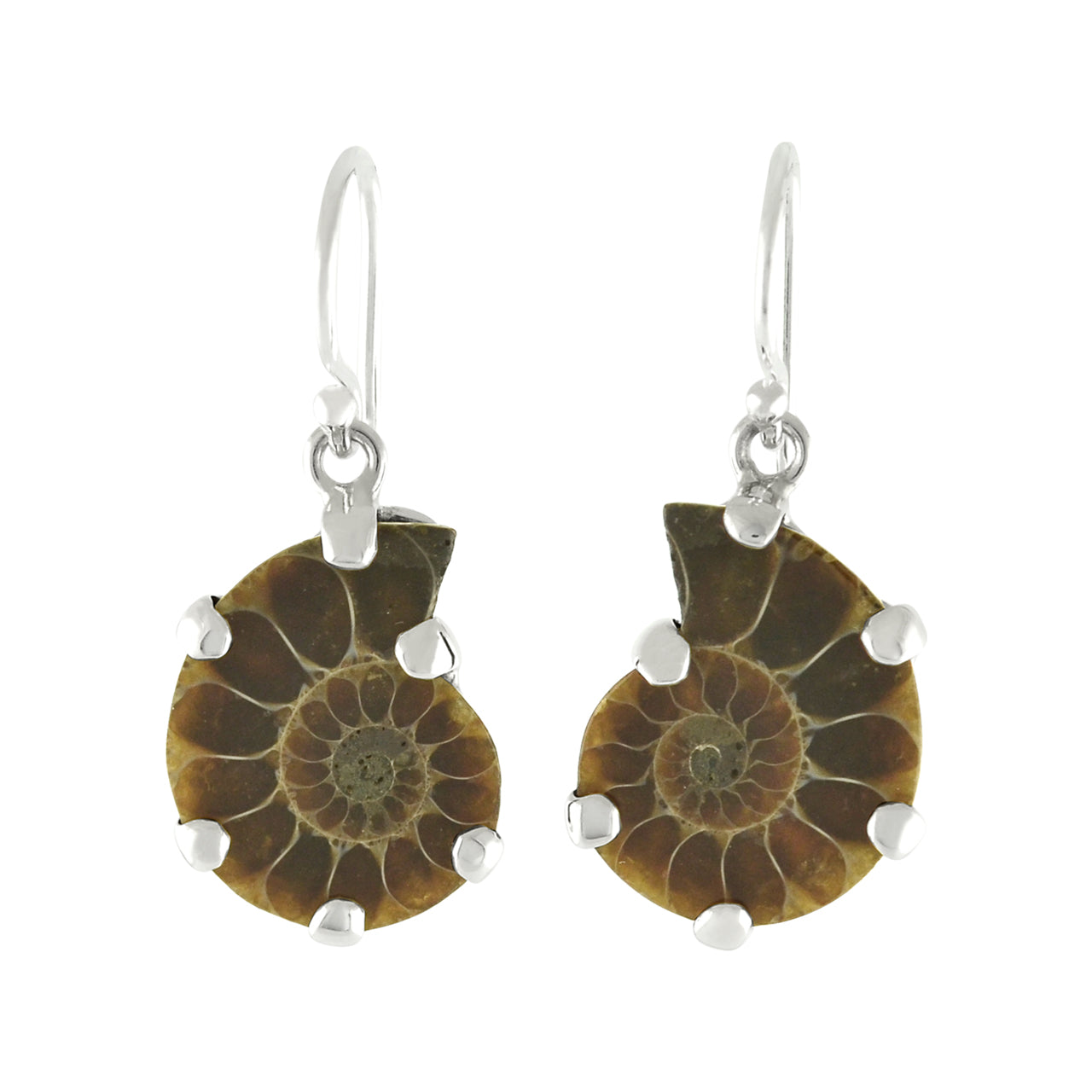 Starborn Fossilized Ammonite Prong Set Earrings with Filigree Back in Sterling Silver