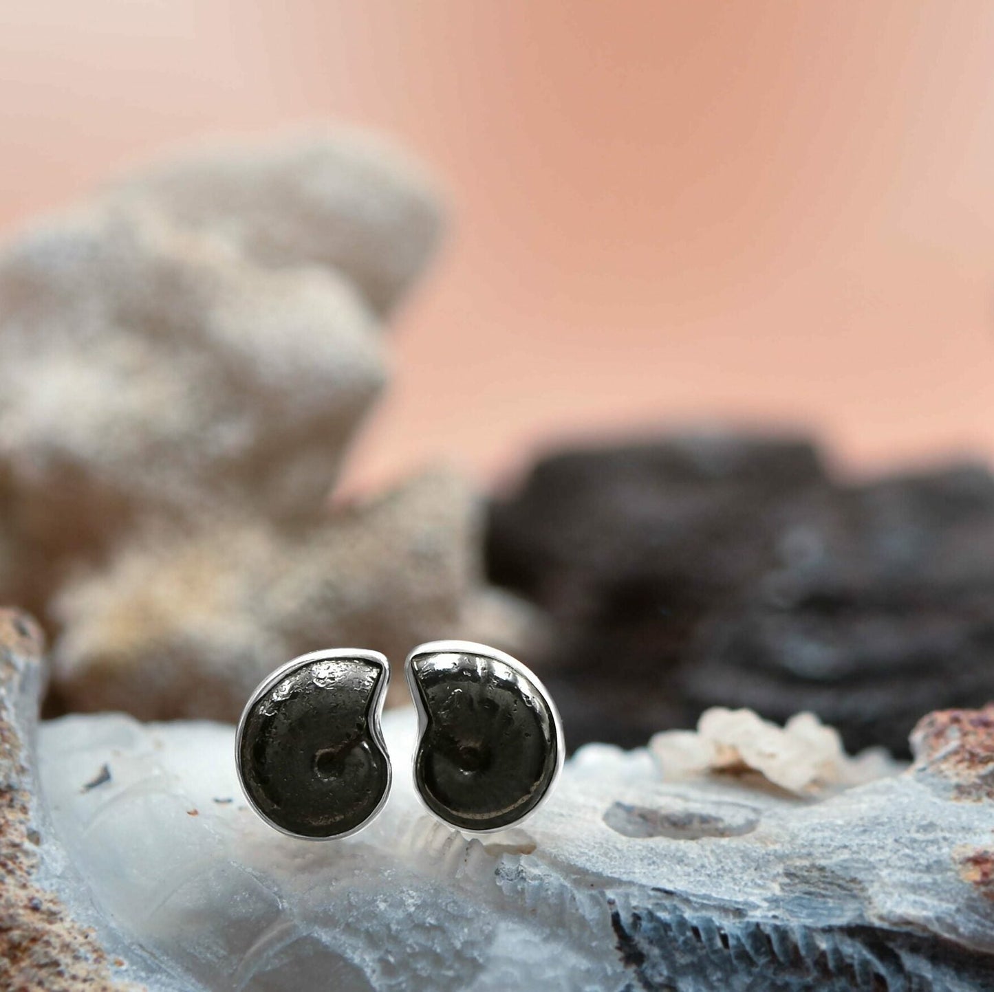 Starborn Fossilized Hematite Ammonite Post Earrings in Sterling Silver