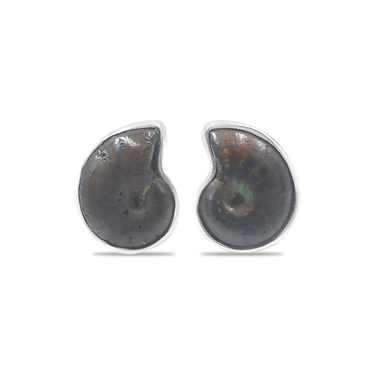 Starborn Fossilized Hematite Ammonite Post Earrings in Sterling Silver