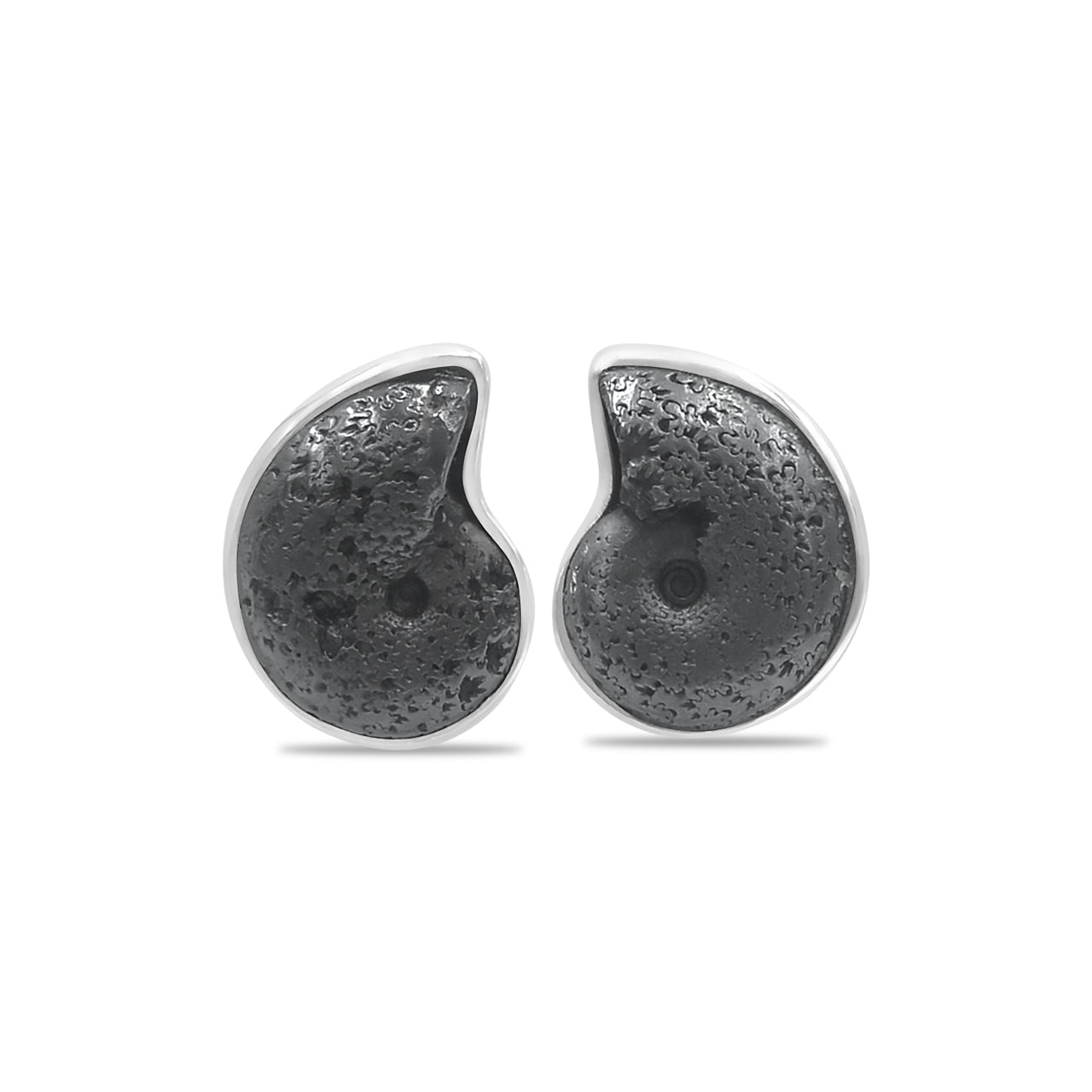 Starborn Fossilized Hematite Ammonite Post Earrings in Sterling Silver