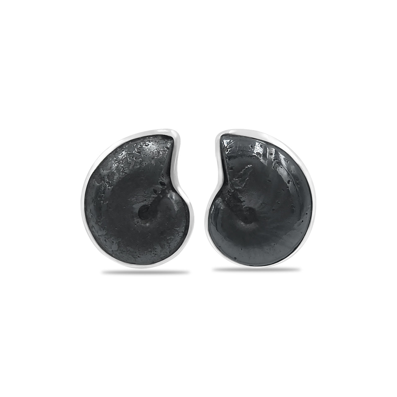 Starborn Fossilized Hematite Ammonite Post Earrings in Sterling Silver