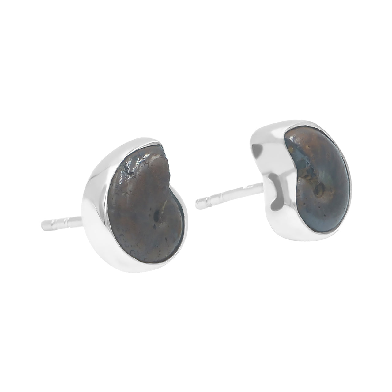 Starborn Fossilized Hematite Ammonite Post Earrings in Sterling Silver