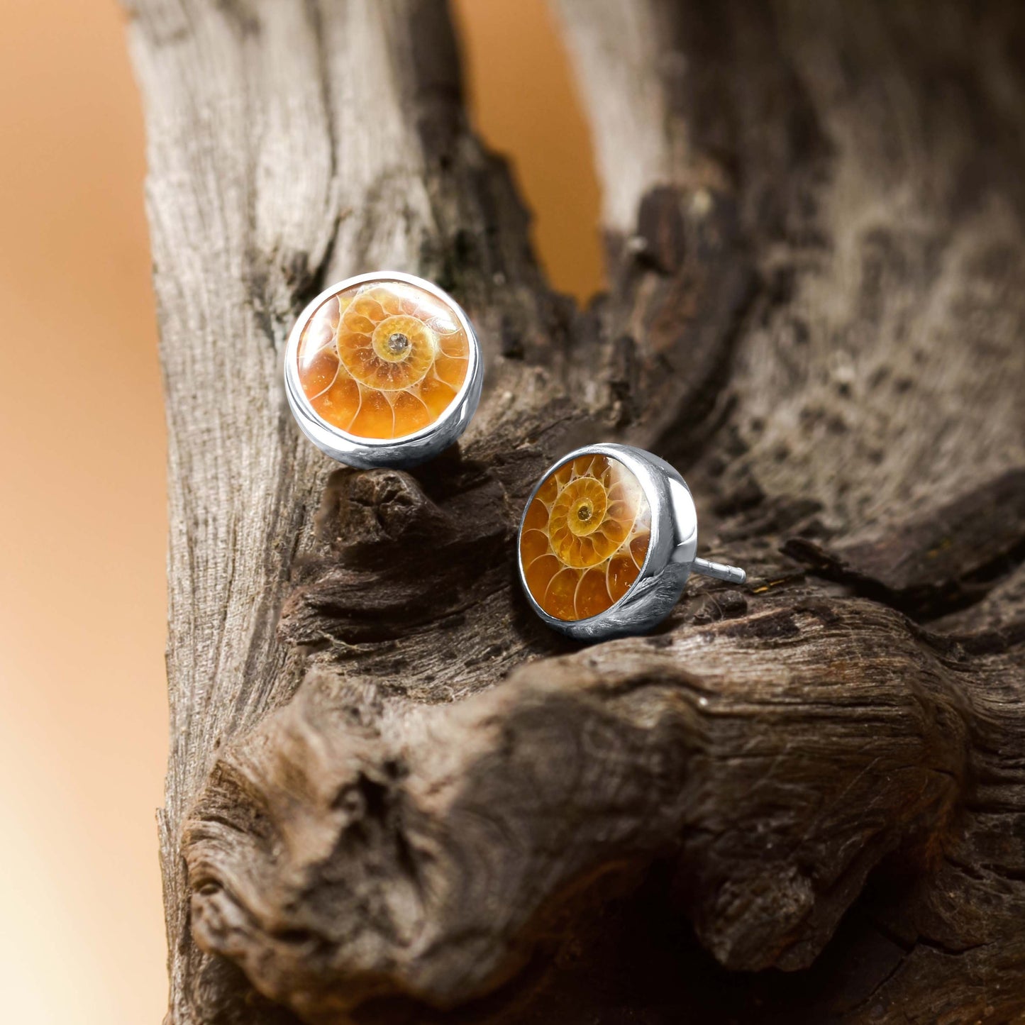 Starborn Fossilized Ammonite Round Post Earrings in Sterling Silver