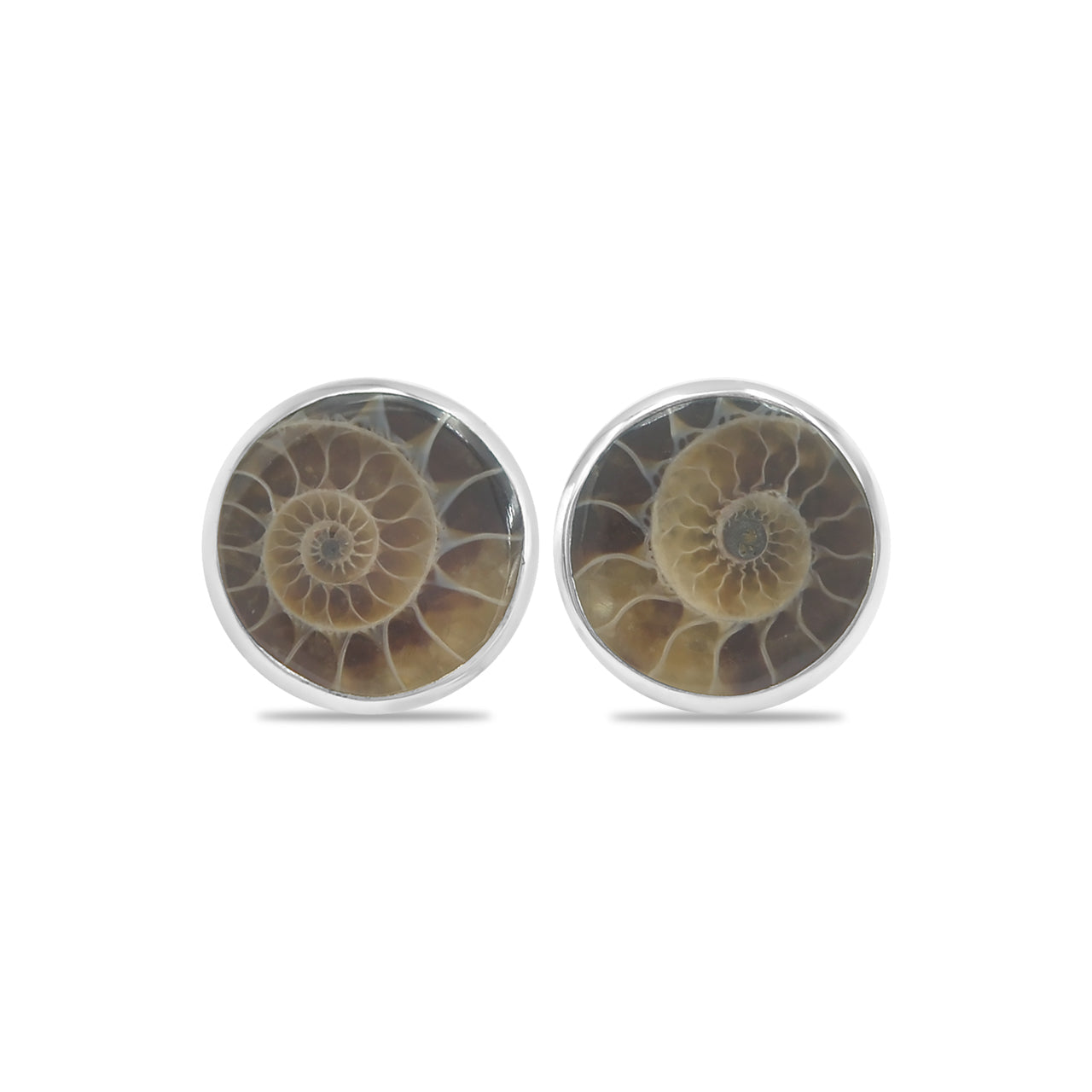 Starborn Fossilized Ammonite Round Post Earrings in Sterling Silver