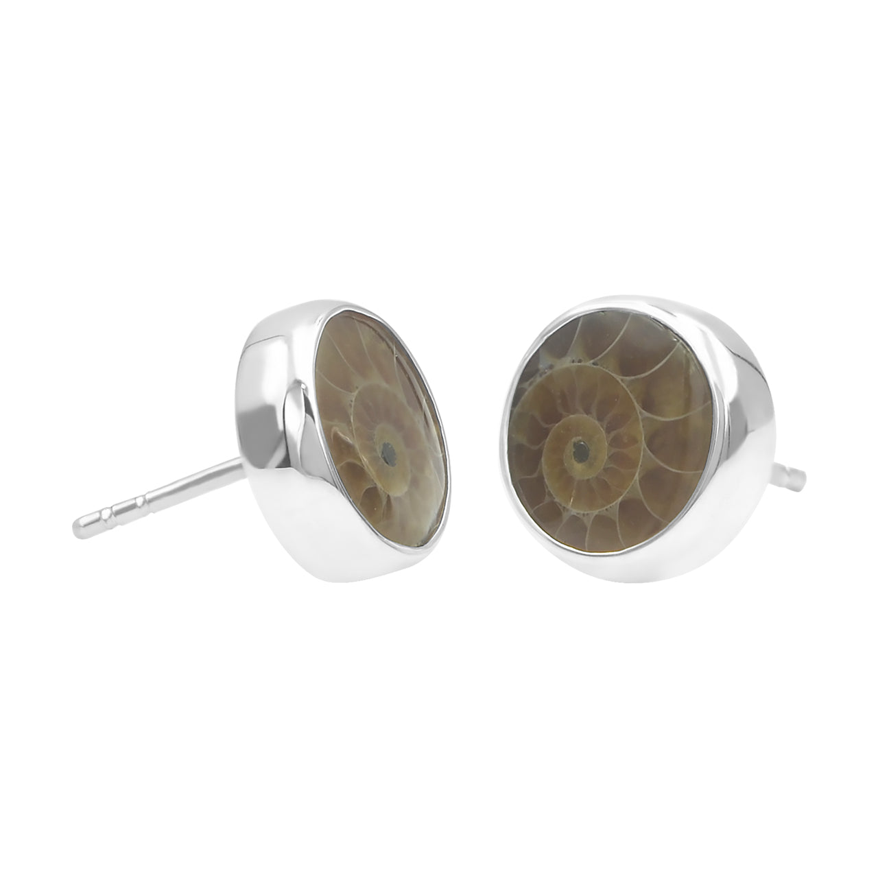 Starborn Fossilized Ammonite Round Post Earrings in Sterling Silver
