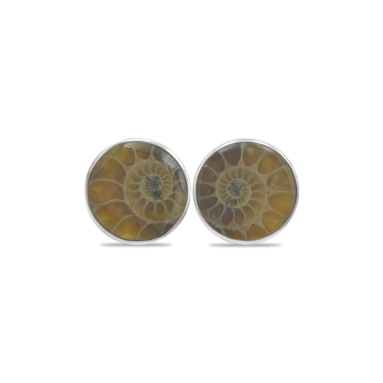 Starborn Fossilized Ammonite Round Post Earrings in Sterling Silver