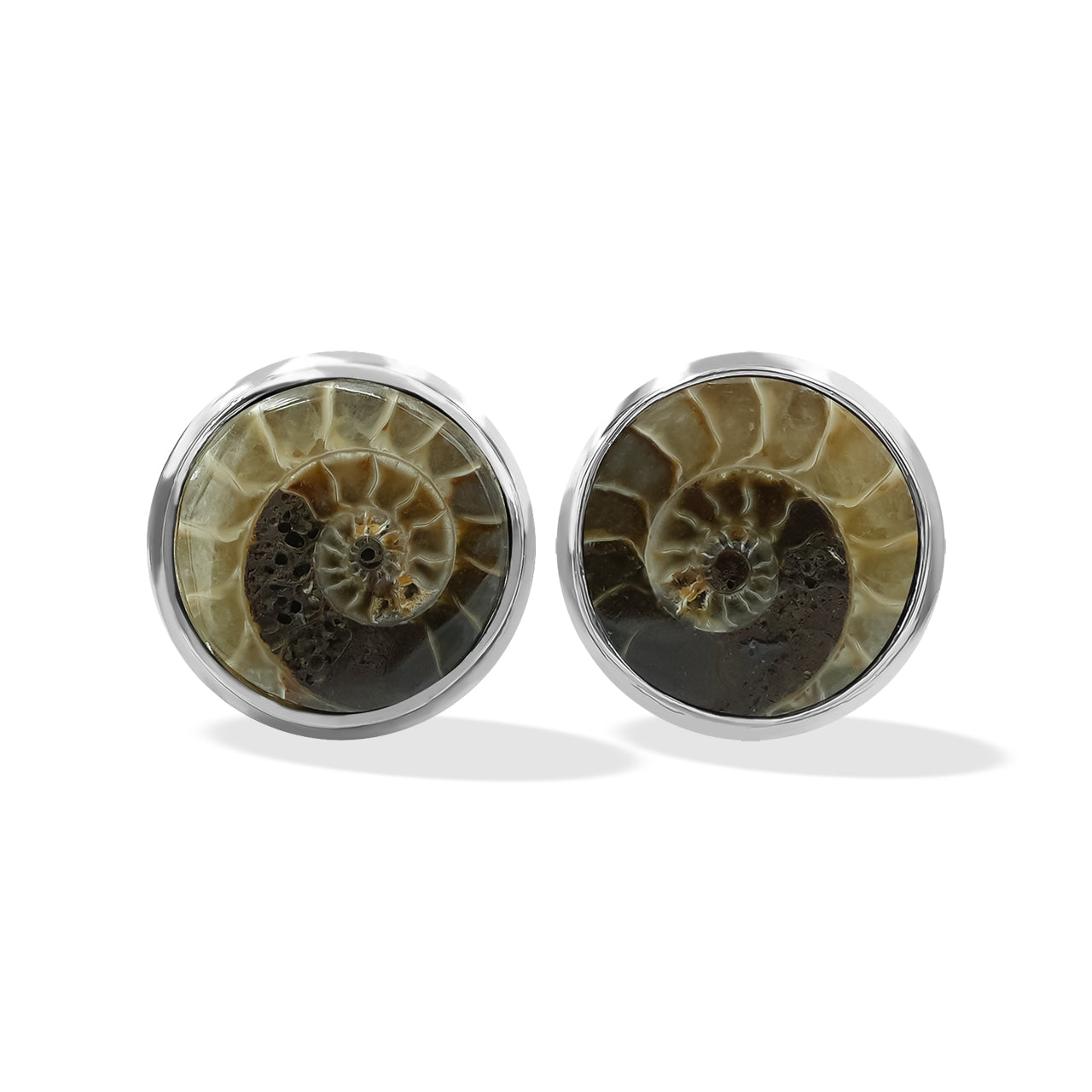 Starborn Fossilized Ammonite Round Post Earrings in Sterling Silver