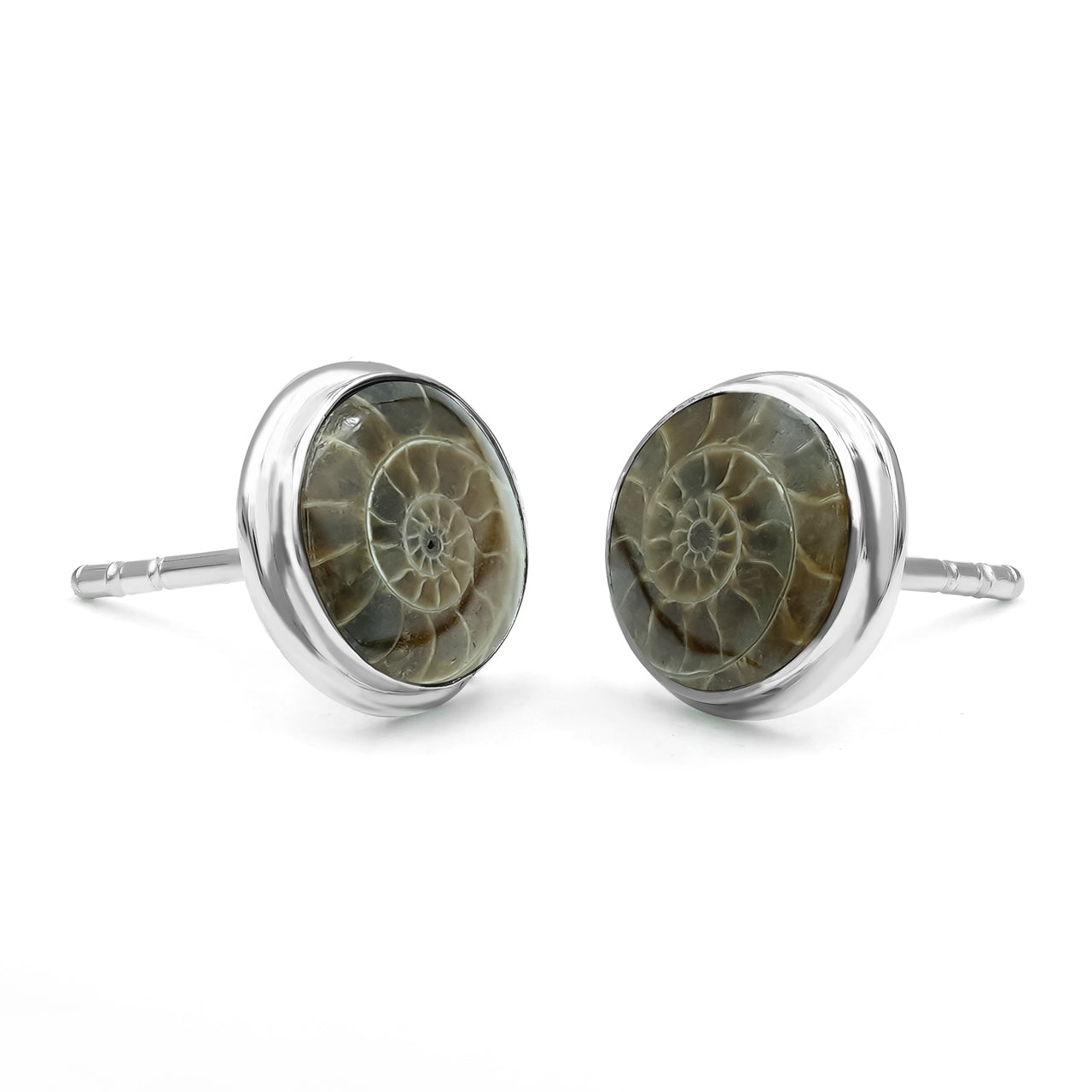 Starborn Fossilized Ammonite 8mm Round Post Style Earrings in Sterling Silver